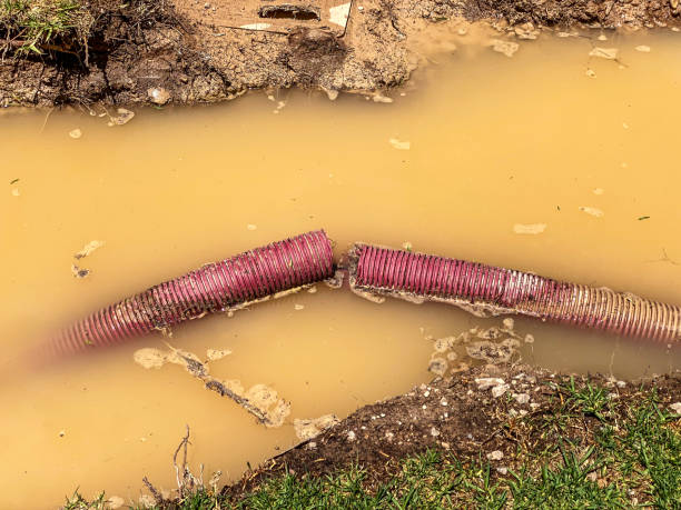 Water damage restoration mold remediation in South Haven, IN